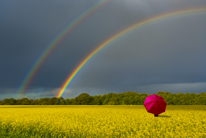 Special Message: Weathering the Storm Together